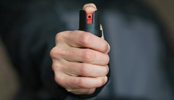 Řidič po něm chtěl platnou jízdenku. Násilník mu do očí nastříkal pepřák