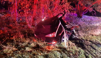 Tragická nehoda na jihu Čech. Náraz do stromu roztrhl auto vejpůl, řidič nepřežil