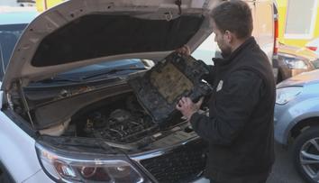 Pozor na kuny v motoru auta. Oprava vás může vyjít draho