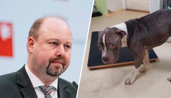 Soud Tejce odbyl. Podmínka za týrání psa je přiměřená, muž byl v těžké životní situaci
