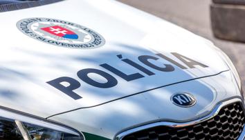 Mladíci na Slovensku srazili srnku. Místo pomoci zvířeti brutálně ublížili