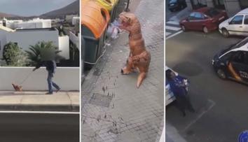Zákaz vycházení, ven jen s mazlíčkem! Španělé tak venčí rybičky i slepici! VIDEO