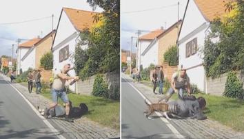 Rozzuřený pes přeskočil plot a vrhl se na rodinu! Martin neváhal střílet