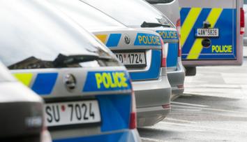 Policie dopadla další gaunerku, policejní pátrání skončilo