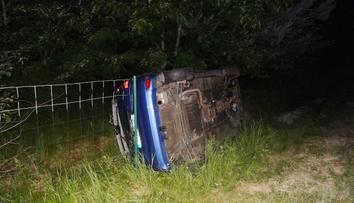 Kvůli dvěma psům se na dálnici zranil motorkář a převrátilo auto