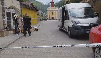 Razie v Hřensku odhalila padělky. Jejich hodnota dosahuje milionů korun