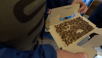 Dům zamořili švábi, říká zoufalá nájemnice. Vážnost situace zarazila i experta