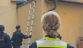 Zloději chtěli s cennostmi vyšplhat po fasádě. Zvolili pro to špatnou dobu