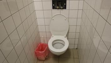 Muž si na Znojemsku uřízl penis a spláchl ho do záchodu!