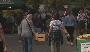 Nebílovské sady praskaly ve švech. Slavnosti jablek přilákaly tisíce lidí
