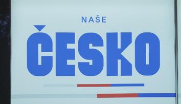 V Českých Budějovicích se schyluje ke vzniku široké koalice. Obejde hnutí Naše Česko