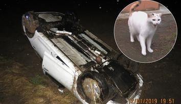 Kočka za jízdy vyklouzla z tašky, řidič přetočil auto na střechu