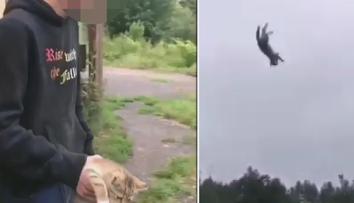Odporné chování! Mladík hodil s kotětem a chlubil se tím na internetu