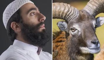 Úsměvný omyl na tísňové lince. Trefil řidič muflona, nebo muslima?!
