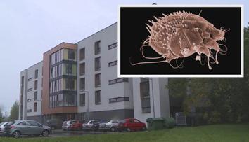 Svrab v domově pro seniory: Hygiena nařídila přísná opatření