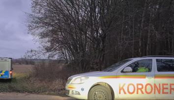 Hrůzný nález u Písku. Žena za městem našla 11 lidských lebek