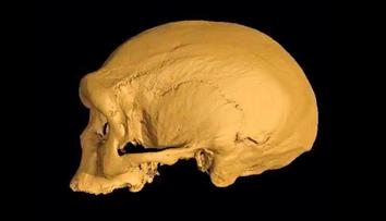 Všechno je jinak. Nález lidské lebky mění historii, říkají paleontologové