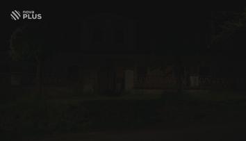 V lesích dozrávají OSTRUŽINY, zázrak na klouby, krásu i rakovinu