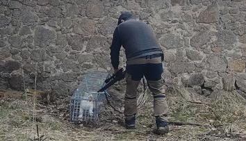 Zvrat v kauze týraných zvířat. Správce dostal ze státní obory výpověď