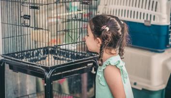 Lidé si oblíbili nového domácího mazlíčka. Inteligentní tvorové, žasnou