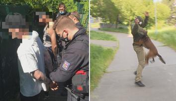 Dva podivní týpci tlačili cizího harleye. Zadržel je pejskař s fenkou Elishou