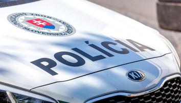 Opilá policistka bourala, nadýchala skoro tři promile. V autech bylo osm dětí