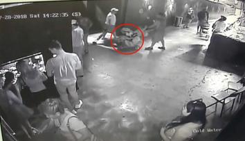 Zloději ukradli žraloka a odvezli si ho v kočárku! Už se přiznali