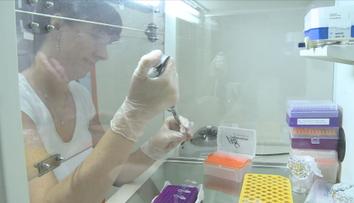 Epidemie žloutenky A stále nepolevuje. Nejhorší je situace v Brně