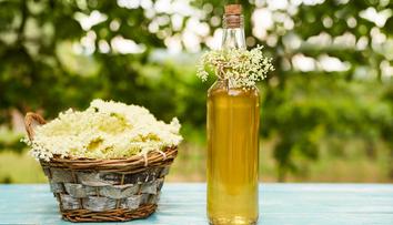 Recept na bezový sirup je hitem internetu! Vyjde jen na pár korun