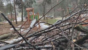 Vichr a sněhová kalamita zničily slovenskou zoo. Nedá se to ani popsat, říká ředitel