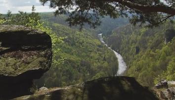 Národní park Podyjí bojuje s nepořádkem. Turisté po sobě nechávají hygienický odpad