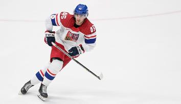 Pardubice přivedly hvězdné posily, nechybí tři bývalí útočníci z NHL