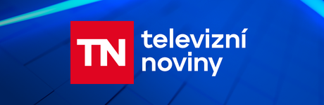 Televizní noviny