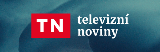 Televizní noviny