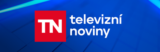 Televizní noviny