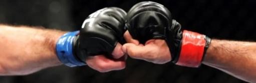 MMA sestřihy