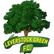 Leverstock Green