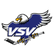 EC VSV