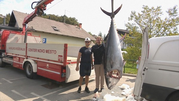 Štěstí slovinského rybáře: Z Jadranu vylovil rekordního tuňáka