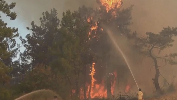 Z ráje ohnivým peklem: Požáry pustošily Itálii, Turecko i Rhodos