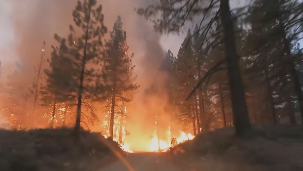 USA stále bojuje s rozsáhlými lesními požáry. Byla nařízena evakuace