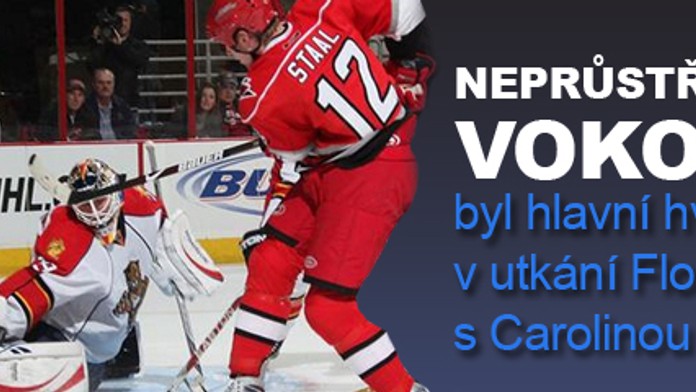 Neprůstřelný Vokoun byl hlavní hvězdou v utkání Floridy s Carolinou