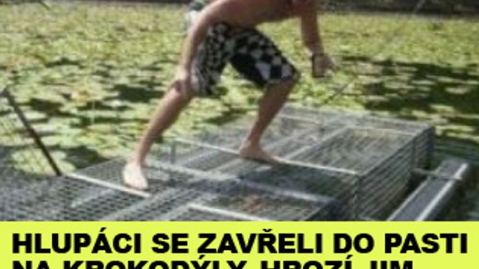Hlupáci se zavřeli do pasti na krokodýly. Hrozí jim i vězení