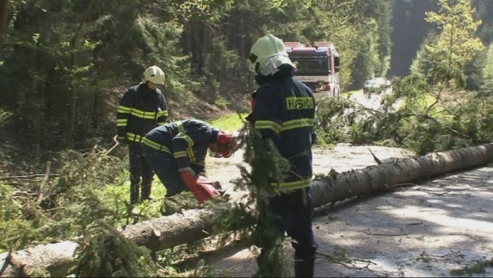 Na dodávku spadla větev. Řidič je těžce zraněný
