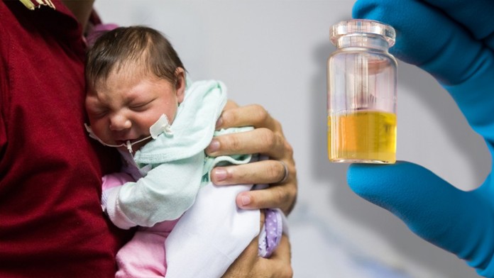 Virus zika už není celosvětovou hrozbou. WHO zrušila stav nouze