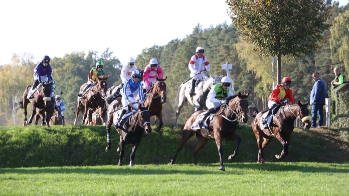 Velkou pardubickou poznamenala spousta pádů. Překvapivě zvítězil Talent