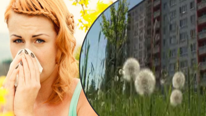 Lidé v Praze se dusí! Alergici mají velký problém kvůli sekání