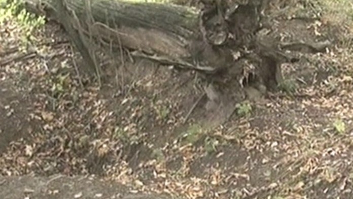 V ostravském lesíku našli mrtvolu mladé dívky