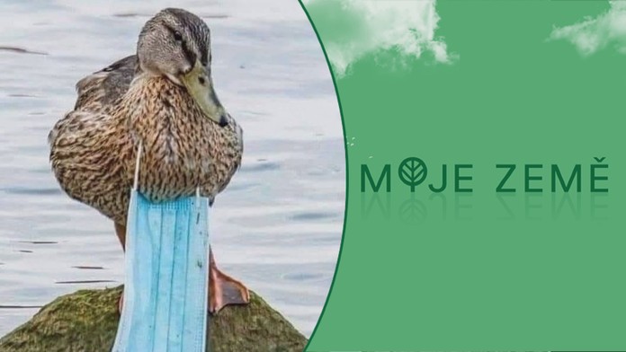Lidé stříhají na rouškách poutko, než je vyhodí! Pomáhá to přírodě