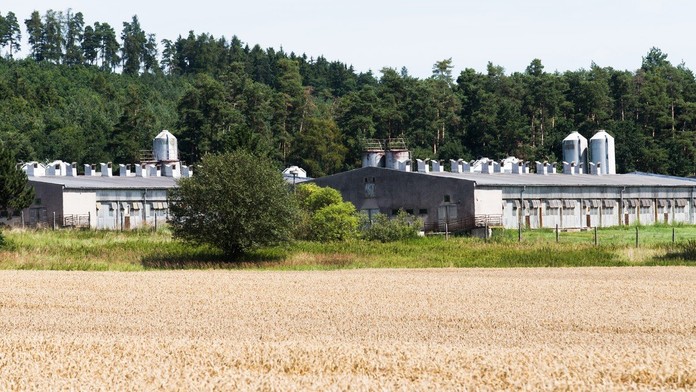 Vláda odklepla koupi vepřína, kde stál nacistický "koncentrák"